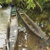 lake_mandicocha_la_v_0077_ecu0758.jpg